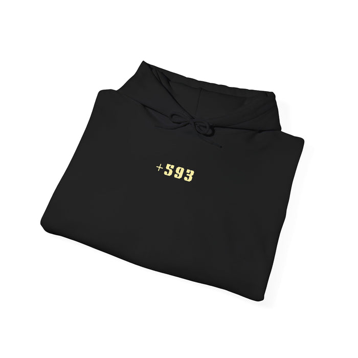 +593 Hoodie