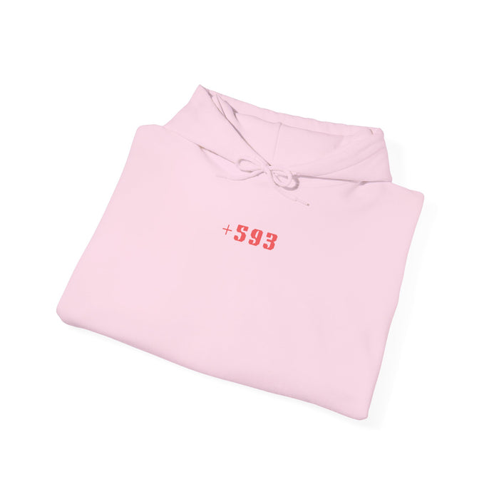 +593 Hoodie