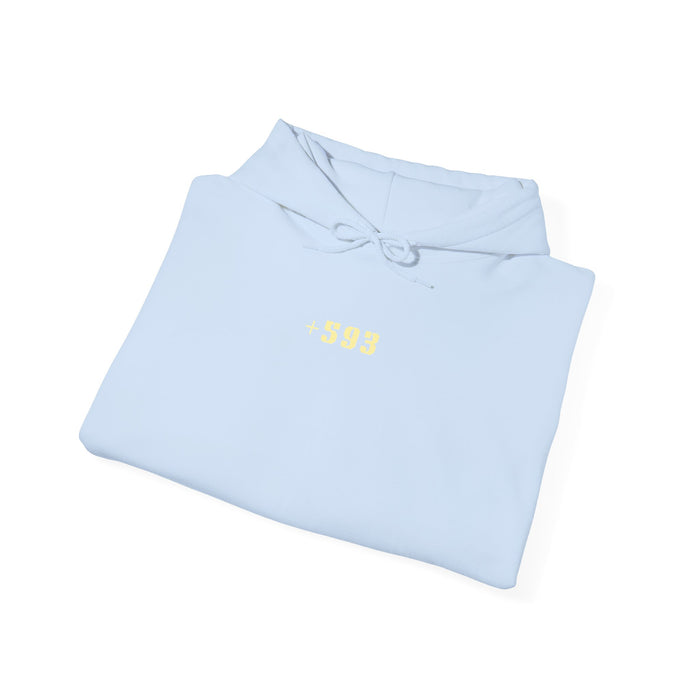 +593 Hoodie